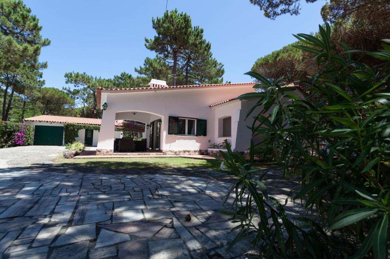 Ocean, Pines And Mountain - Renovated February 2025 - Ac Villa Colares Exterior photo