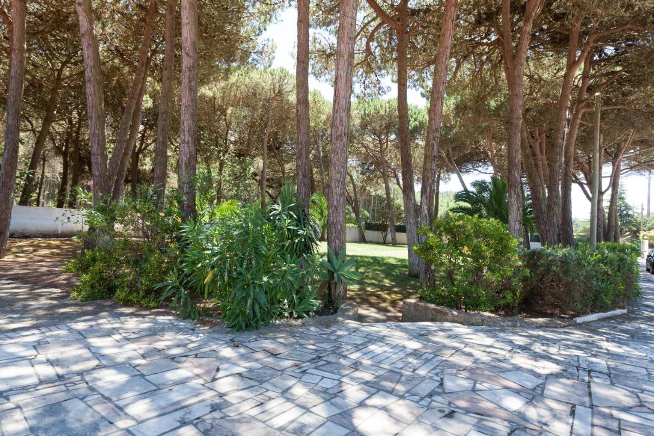 Ocean, Pines And Mountain - Renovated February 2025 - Ac Villa Colares Exterior photo