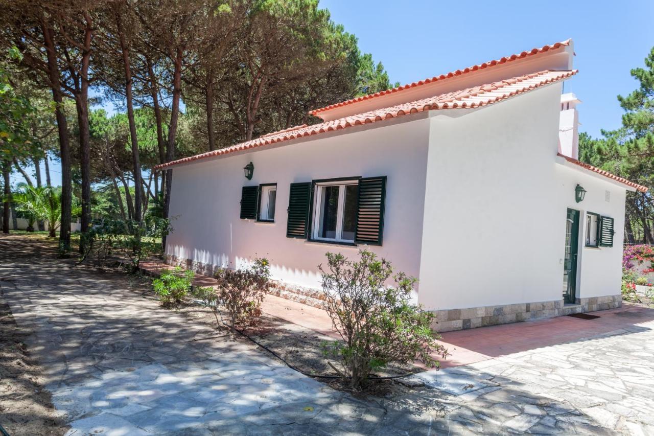 Ocean, Pines And Mountain - Renovated February 2025 - Ac Villa Colares Exterior photo