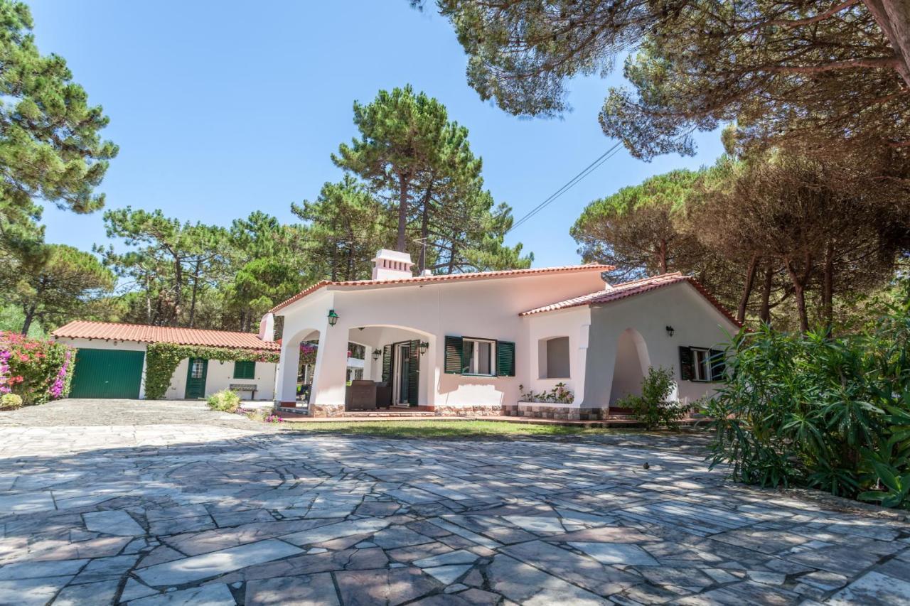 Ocean, Pines And Mountain - Renovated February 2025 - Ac Villa Colares Exterior photo
