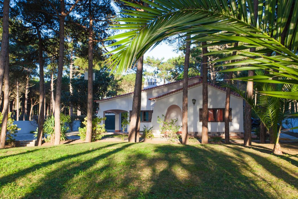 Ocean, Pines And Mountain - Renovated February 2025 - Ac Villa Colares Exterior photo